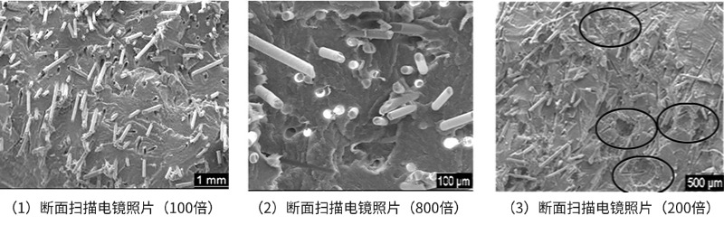 使用臺式掃描電鏡對汽車電動玻璃升降系統(tǒng)支架斷裂進行分析