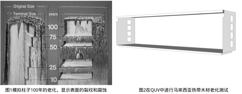 圖1模擬木材100年的老化情況&圖2在QUV中進行馬來西亞熱帶木材老化測試