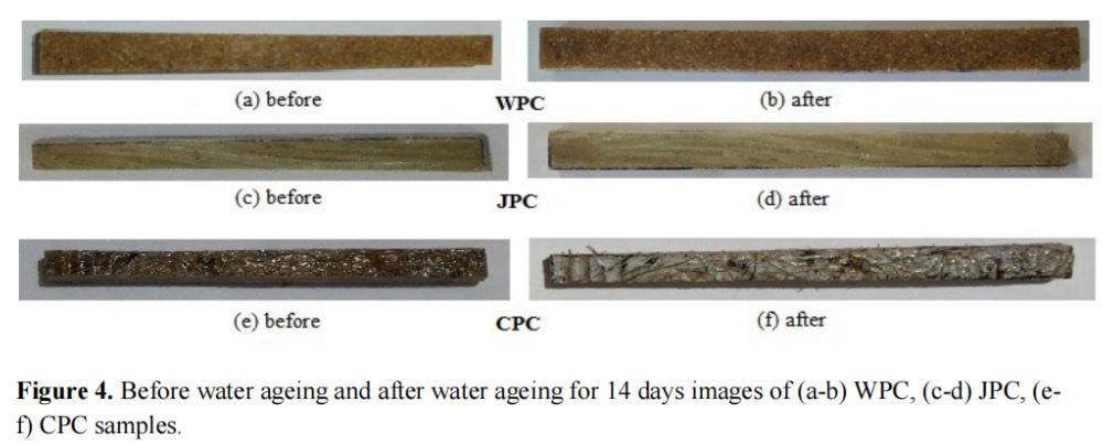 圖 4(a) 和 4(b) 顯示了WPC 樣品在蒸餾水中老化 14 天前后的情況
