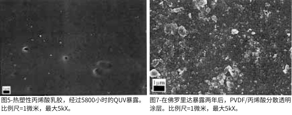 圖7-在佛羅里達(dá)暴露兩年后，PVDF/丙烯酸分散透明涂層