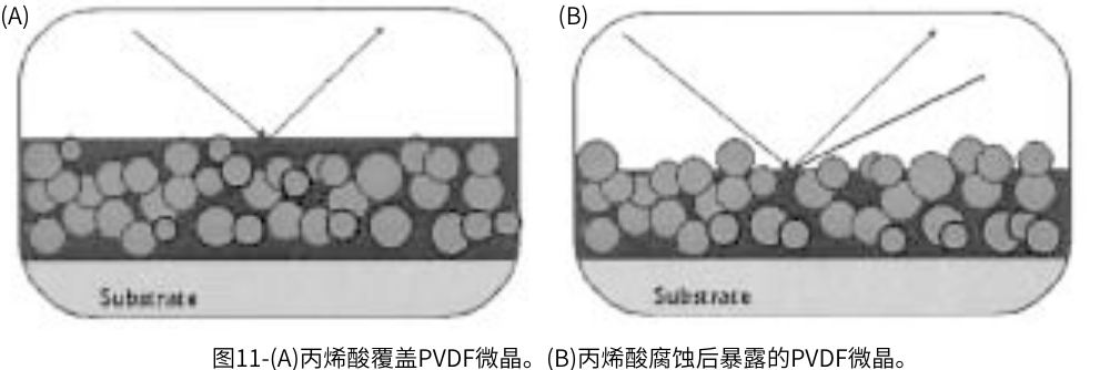 圖11-(A)丙烯酸覆蓋PVDF微晶。(B)丙烯酸腐蝕后暴露的PVDF微晶。