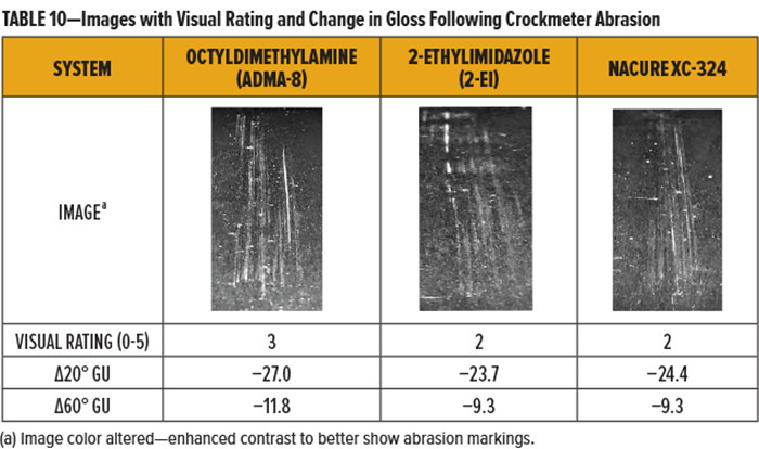 表10-摩擦計磨損后的視覺評級和光澤度變化的圖像